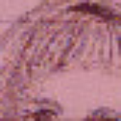 Avatar di Sprucefield