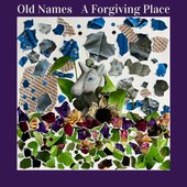 A Forgiving Place