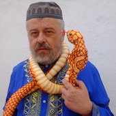 3.JPG