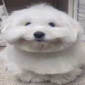 epooby için avatar