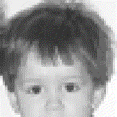 Avatar for Gozzo