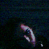 selfygif.gif