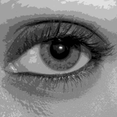 Avatar for areygnian