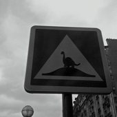 Avatar für bigbastien
