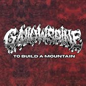 TO BUILD A MOUNTAIN