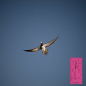 quando acordo não vejo ninguém - Single