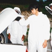 HORNETS