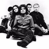 the-wannadies-21579.jpg
