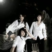 IMG_7953.jpeg