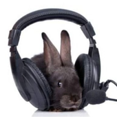 Avatar for laishcritic