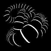 Avatar for ANGIESTELLA