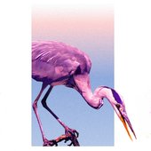 Cryptovolans Artwork
