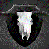 Avatar for olcz