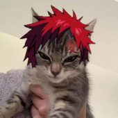Avatar for httpsouls