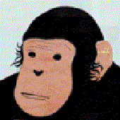 Avatar di B_Rogs