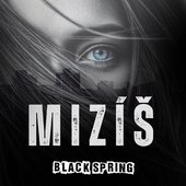 Mizíš