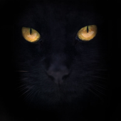 Avatar di Trebaruna80
