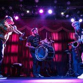 Too Many Zooz