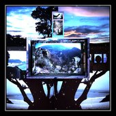 South for the Winter - Single