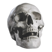 Avatar de suydkm