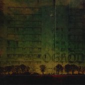 Ogród