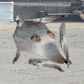 Avatar for DirtyRat583