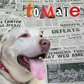 Tomate