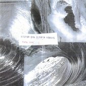 Silver Sea Surfer School