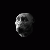 Avatar for Stylur