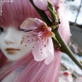 Avatar for frilldolls