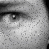 knz için avatar