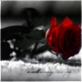 Avatar di Blood_Of_Rose
