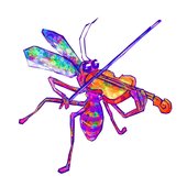 MOSQUITO MUSIC