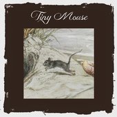 Tiny Mouse