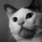 Avatar for jo_mono666