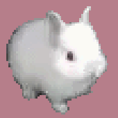 Avatar für cfgthg