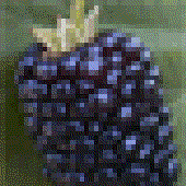 Avatar for Dewberry85