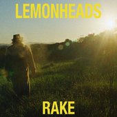 Rake