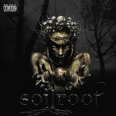 Soilroot
