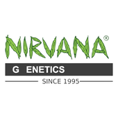 Avatar for nirvanashopus