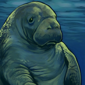 Avatar for lhf_