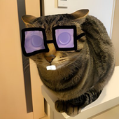Mountable için avatar
