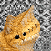 Avatar for erehsuwekim