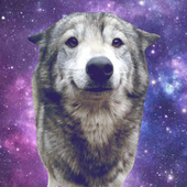 Avatar for jadenaryan