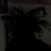 meras plant.png