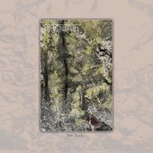 The Trail - Single