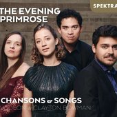 The Evening Primrose