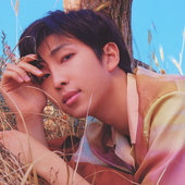 LOVE YOURSELF 轉 'Tear'