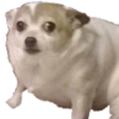 Avatar for TheTrueTaco