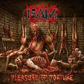 Pleasure of Torture